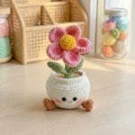 chậu cây xương rồng len "kiên cường"
